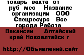 токарь. вахта. от 50 000 руб./мес. › Название организации ­ ООО Спецресурс - Все города Работа » Вакансии   . Алтайский край,Новоалтайск г.